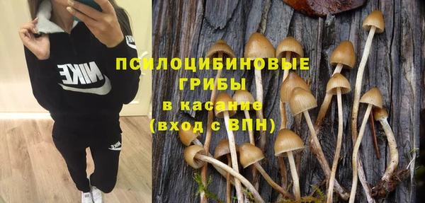 mix Богданович