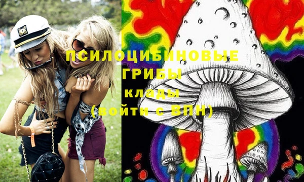 амф Богородицк