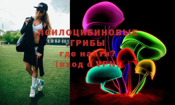 амф Богородицк