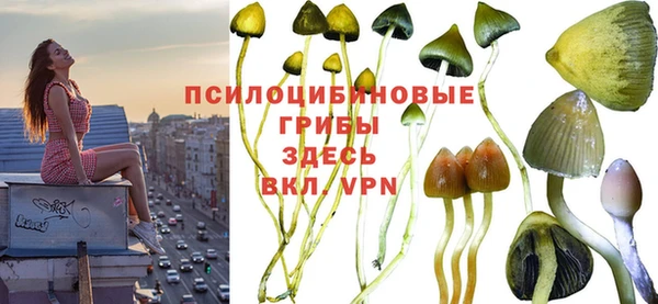 mix Богданович
