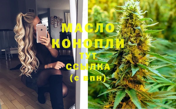 mix Бородино