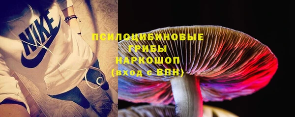 амф Богородицк