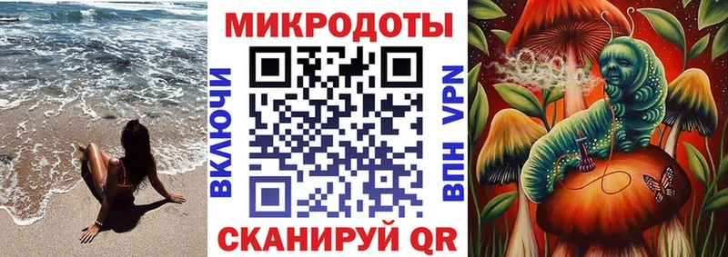 где купить наркотик  Наро-Фоминск  дарк нет Telegram  Псилоцибиновые грибы Psilocybine cubensis 
