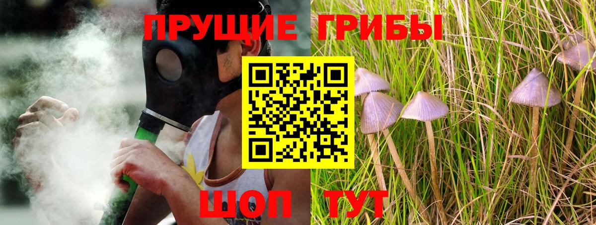 Галлюциногенные грибы GOLDEN TEACHER Наро-Фоминск