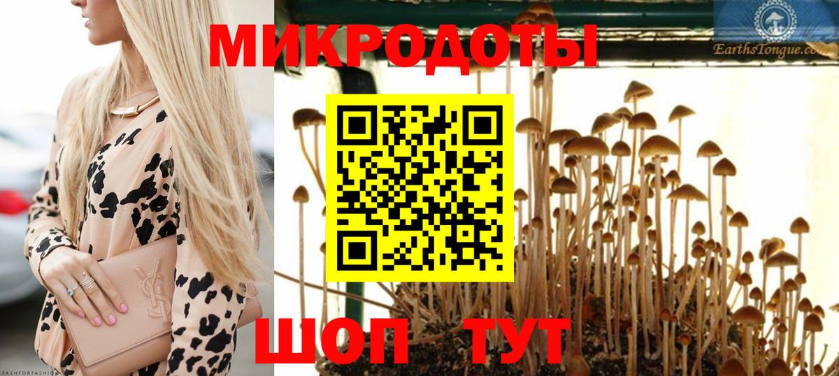 Наро-Фоминск  Псилоцибиновые грибы Psilocybine cubensis  где купить наркоту  Вход с VPN 